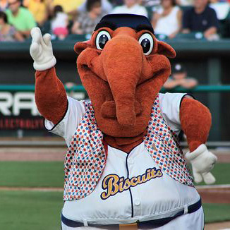 Montgomery Biscuits Baseball